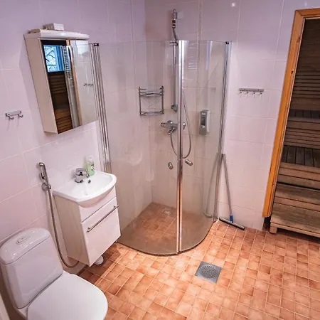 Koivut Rovaniemi